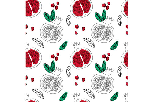 وکتور پترن انار به همراه برگ و دانه های قرمز انار نقاشی شده توسط دست